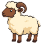 Borrego Mountain Lamb