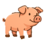 Cerdo Edles Schwein