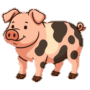 Cerdo Porco Malhado