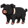 Cerdo Rei Suíno