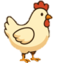 Gallina Perle Blanche