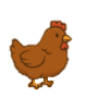 Gallina Reine Rouge