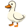 Pato Luce del Lago